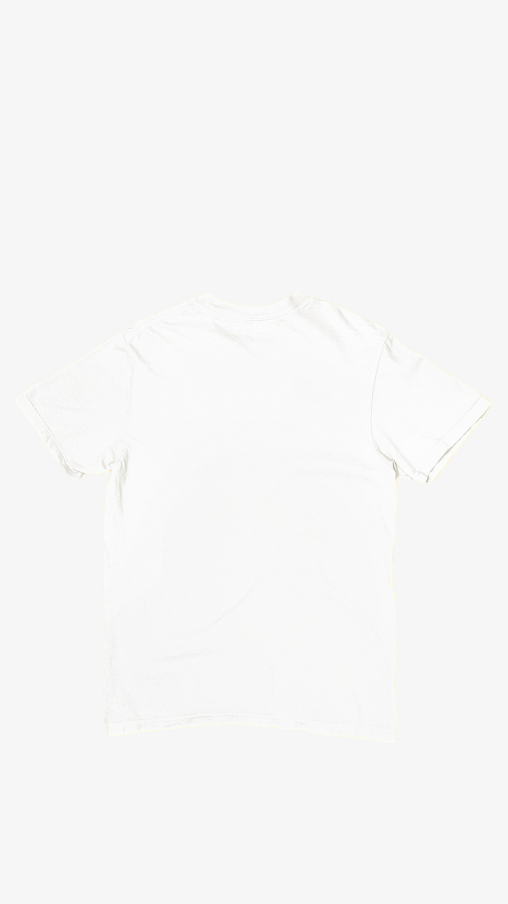 LORDS & KINGS WHITE PREMIUM T-SHIRT